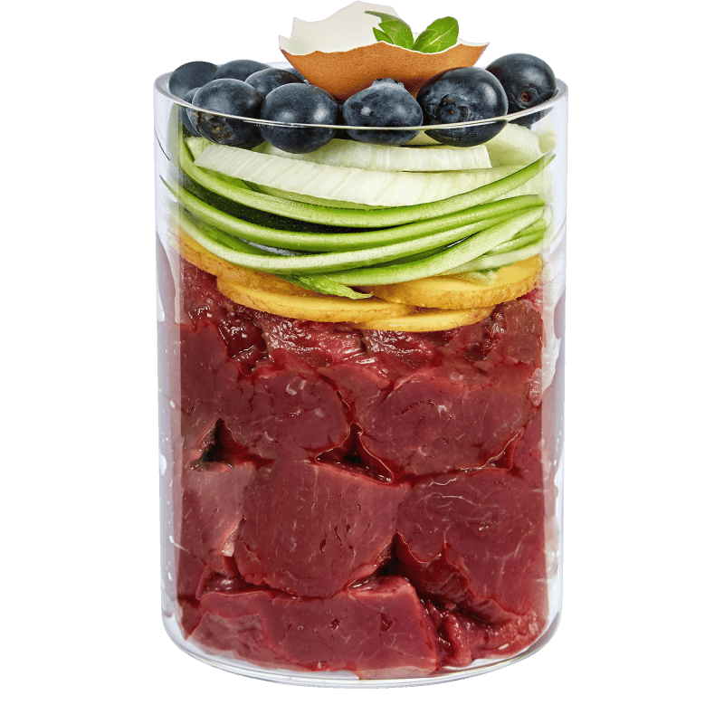 Terra Canis Intestinal Diet 400g
