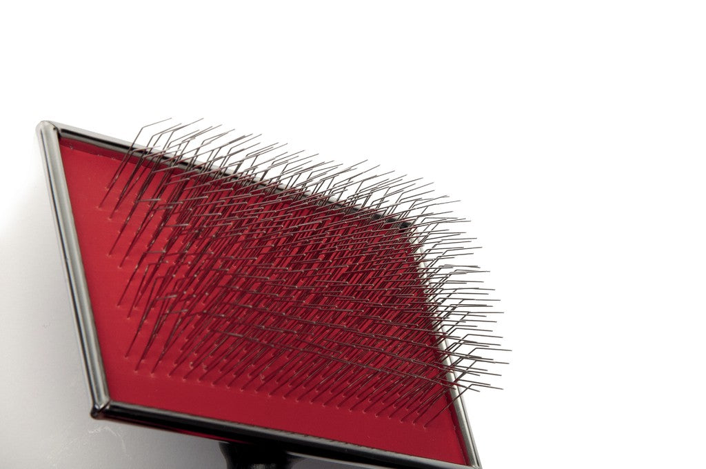 Camon Cardatore Professionale con Denti Lunghi e Curvi XL