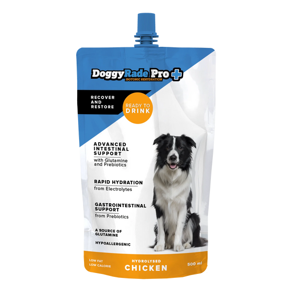 DoggyRade Pro+ Isotonic Rehydration per Cani - Bevanda con Prebiotici ed Elettroliti 500ml