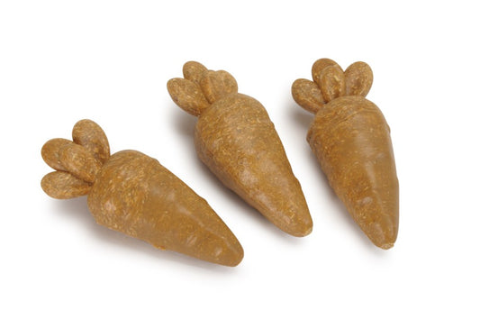 Camon Dental Vegetal Snack per Roditori Senza Coloranti e Conservanti 60g