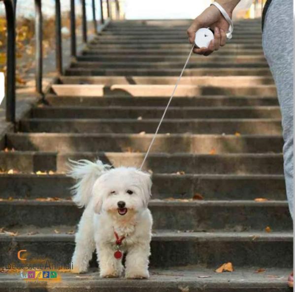 Guinzaglio Estensibile Rettrattile Tascabile per Cani di Piccola Taglia