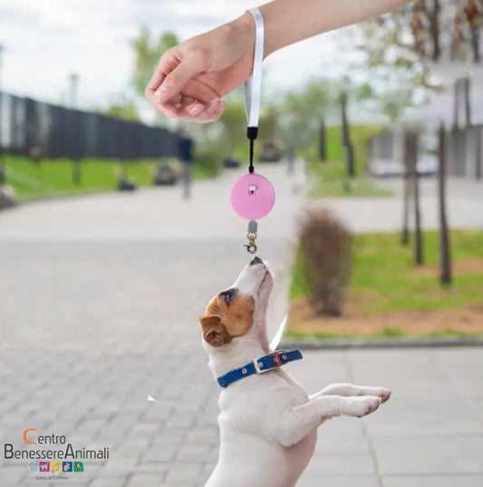 Guinzaglio Estensibile Rettrattile Tascabile per Cani di Piccola Taglia