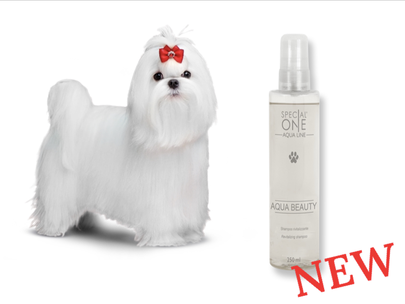 Special One AQUA BEAUTY latte districante 250ml