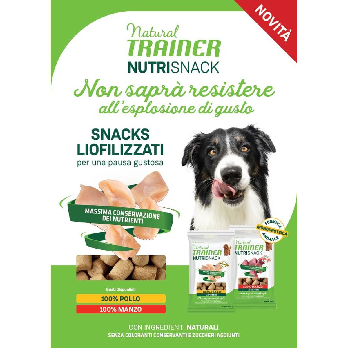Natural Trainer NutriSnack Insaporitore per Crocchette 20g