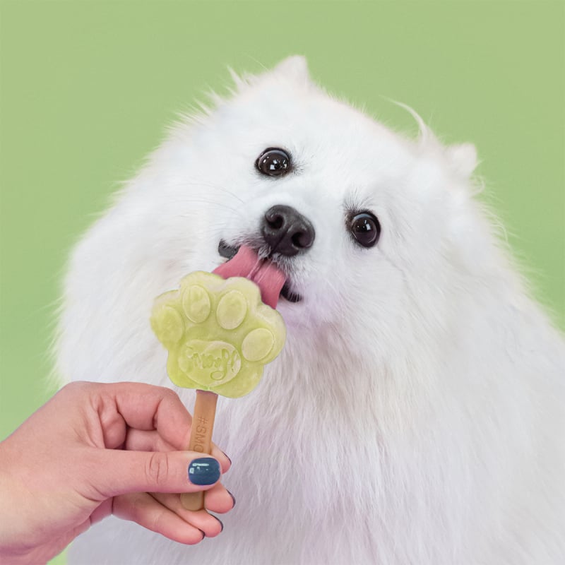 Smoofl Stampo per Gelato per Cani