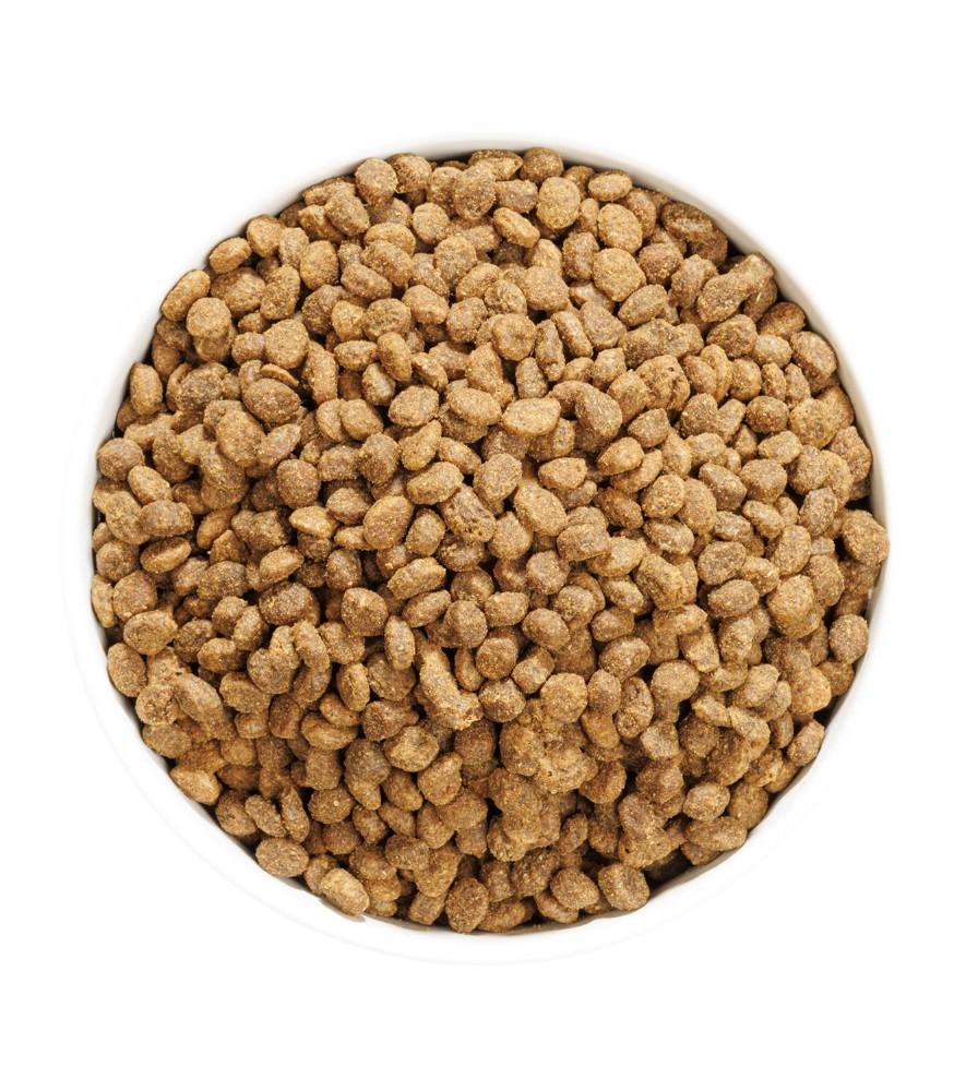 Ownat Crocchette Gatto Author Grain Free Adult Pesce Azzurro e Gallina 1,5kg