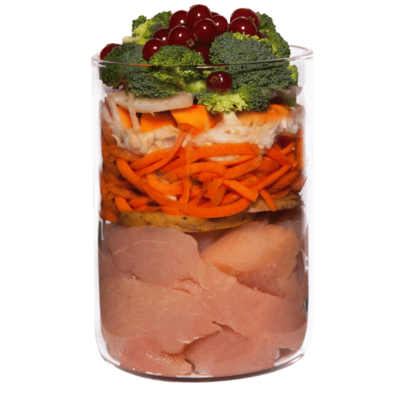 Terra Canis Low Mineral Pollo 400g