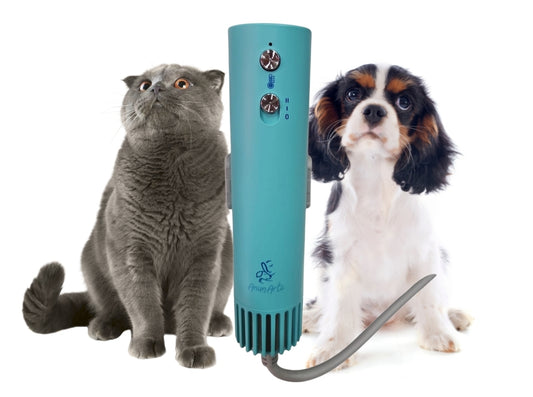 AnimArtì MAMAPÙ Phon per Cani - Asciugatura a Mani Libere con Supporto da Collo - 1400W