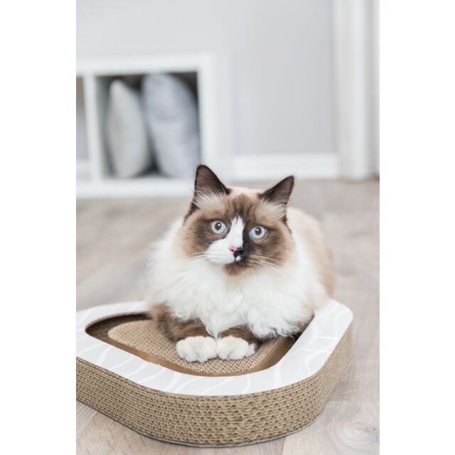 Trixie Tiragraffi in Cartone 36x5x36 cm