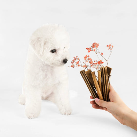 Nature's Protection Superior Care Snack per Cani Adulti - White Dogs - Grain Free 150g