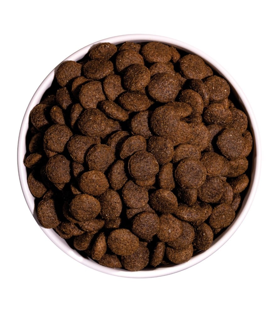 Ownat Dog Classic Anatra 4kg