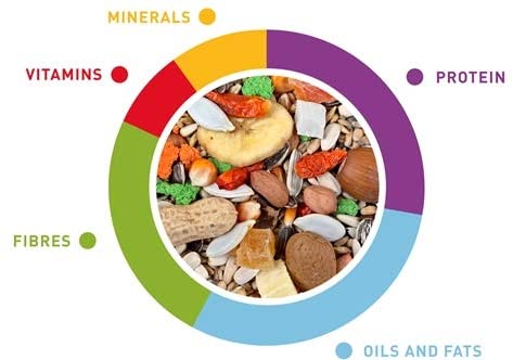 Padovan Pappagalli Grandmix 600gr