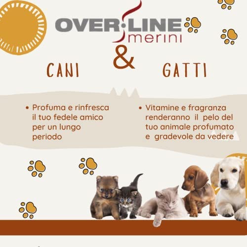 Over Line Merini profumo 200ml KISS