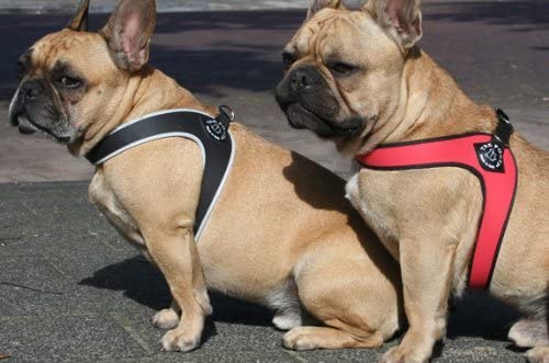 Tre Ponti pettorina NON regolabile bordo cannetè Rossa mis. 3.5