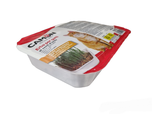 Camon Erba per gatti ai semi d'orzo con vaschetta