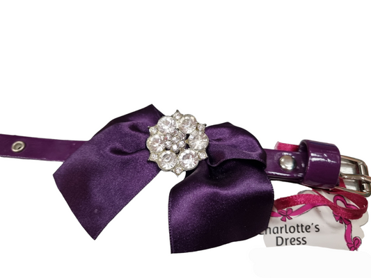 Charlotte's Dress collare in cuoio per cani di taglia toy. 17/19cm