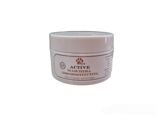 Officine Cosmeceutiche ACTIVE maschera Idrorestitutiva, Districante Anticrespo Antiodore 100ml