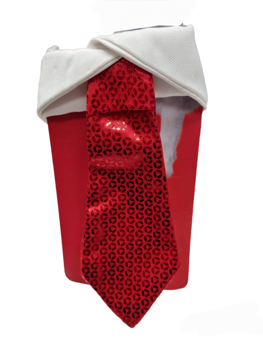 Camon CRAVATTINO natalizio con collarino