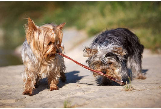 Niki Natural Barf. Verga di vitello 40 cm.