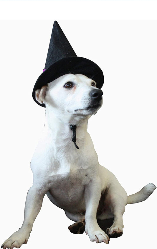 SPECIALEHALLOWEEN croci Tricky Witch Hat cappello da strega