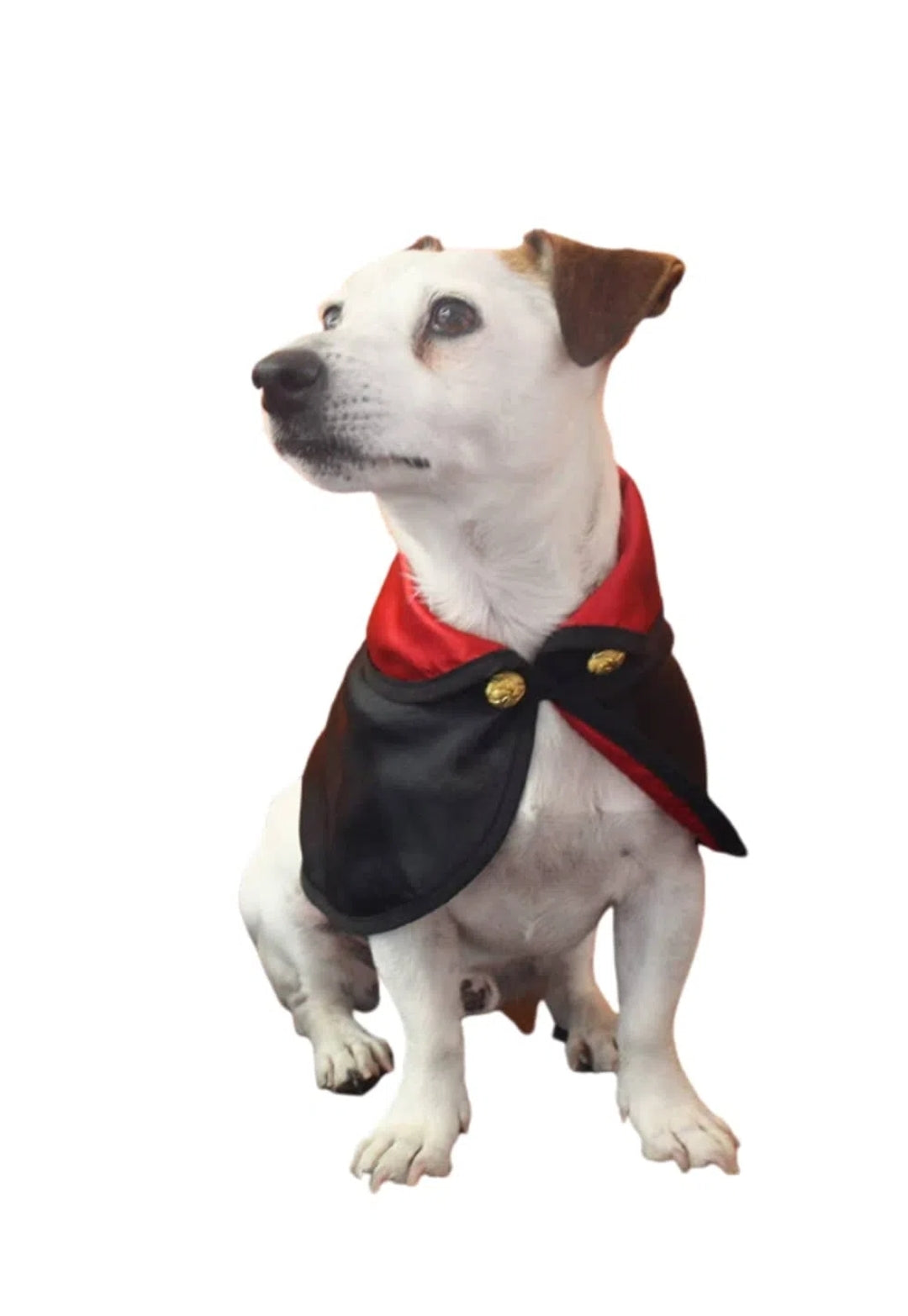 Speciale Carnevale Croci Mantello Vampire Tricky nero e rosso in raso