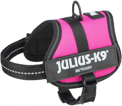 Julius-K9 pettorina Fucsia 1/L