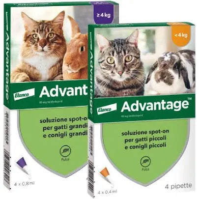 Advantage Spot On Gatti Piccoli e Conigli 2x4 da 0,40ml