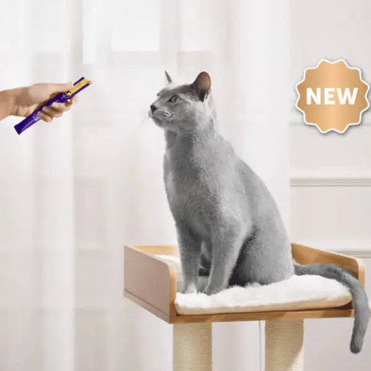 Feliway Happy Snack per Gatto - Snack Cremoso Rilassante 6 Stick (Manzo / Pollo / Salmone)