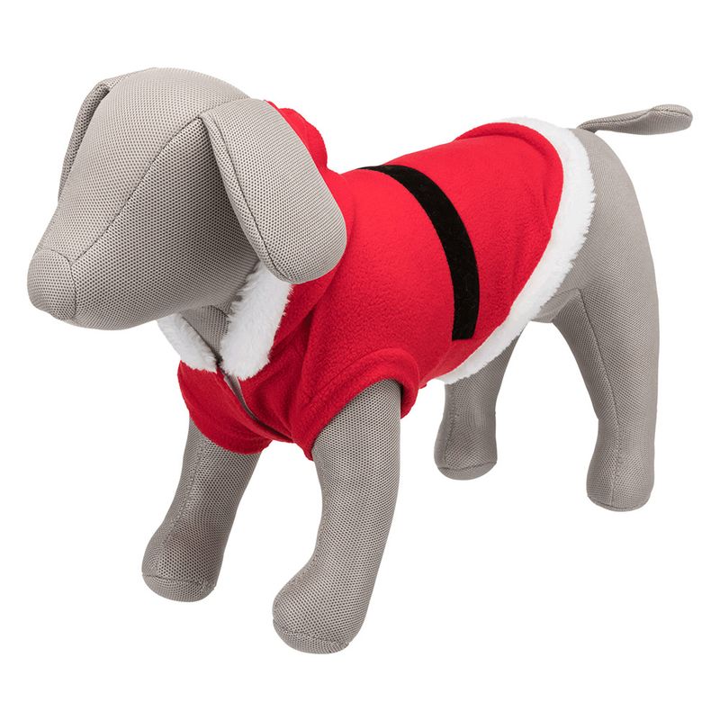 Vestito di babbo natale per cani