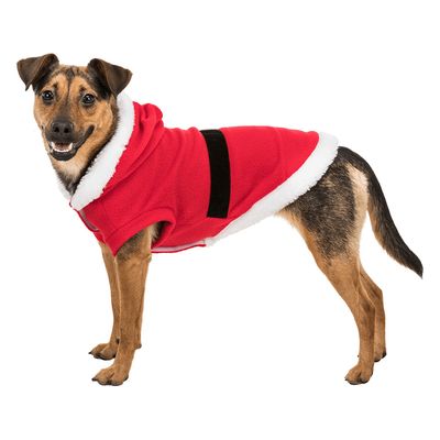 Vestito di babbo natale per cani