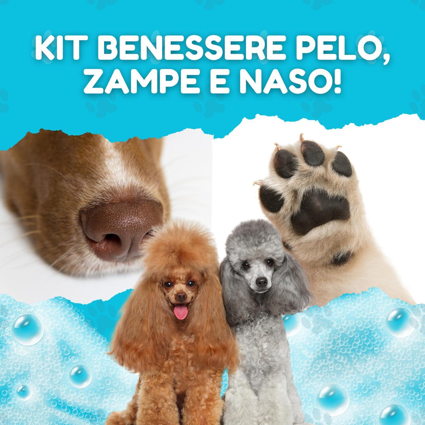 AnimArtì Kit Benessere Pelo Zampe e Naso - Sciogli Nodi Pelo Cane 200ml più Balsamo Zampe Cane e Naso 100ml - Naturale - Ipoallergenico - Made in Italy.