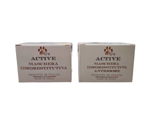 Officine Cosmeceutiche ACTIVE maschera Idrorestitutiva, Districante Anticrespo Antiodore 100ml