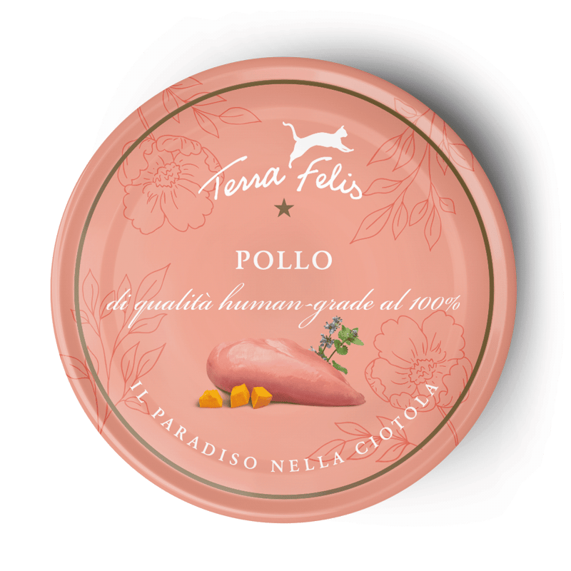 Terra Felis Umido Gatto 80g