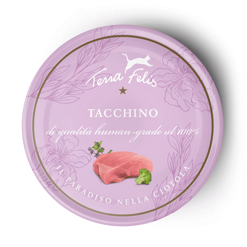 Terra Felis Umido Gatto 80g