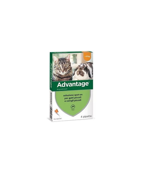 Advantage Spot On Gatti Piccoli e Conigli  2x4 da 0,40ml