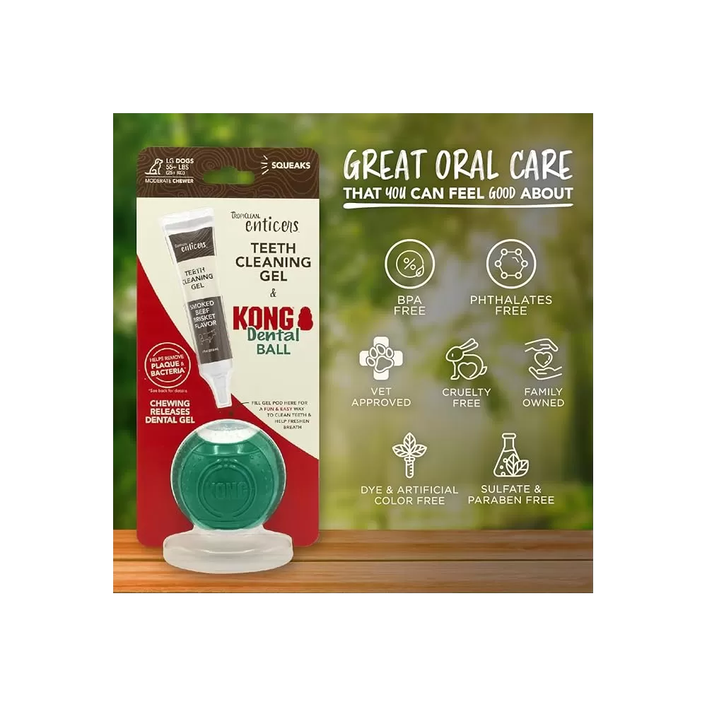 Kong Dental Ball Small Dog