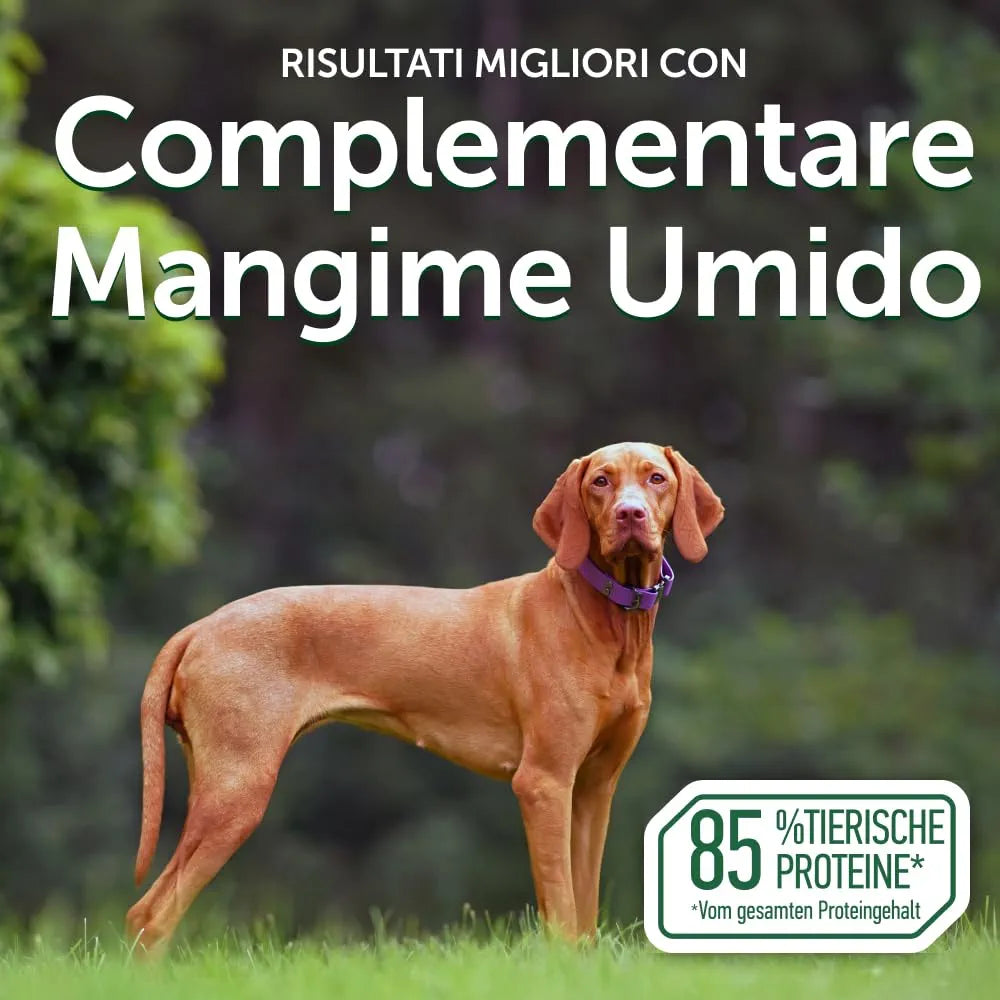 Nature's Protection Superior Care -  Cibo Umido per Cani Adulti 70g