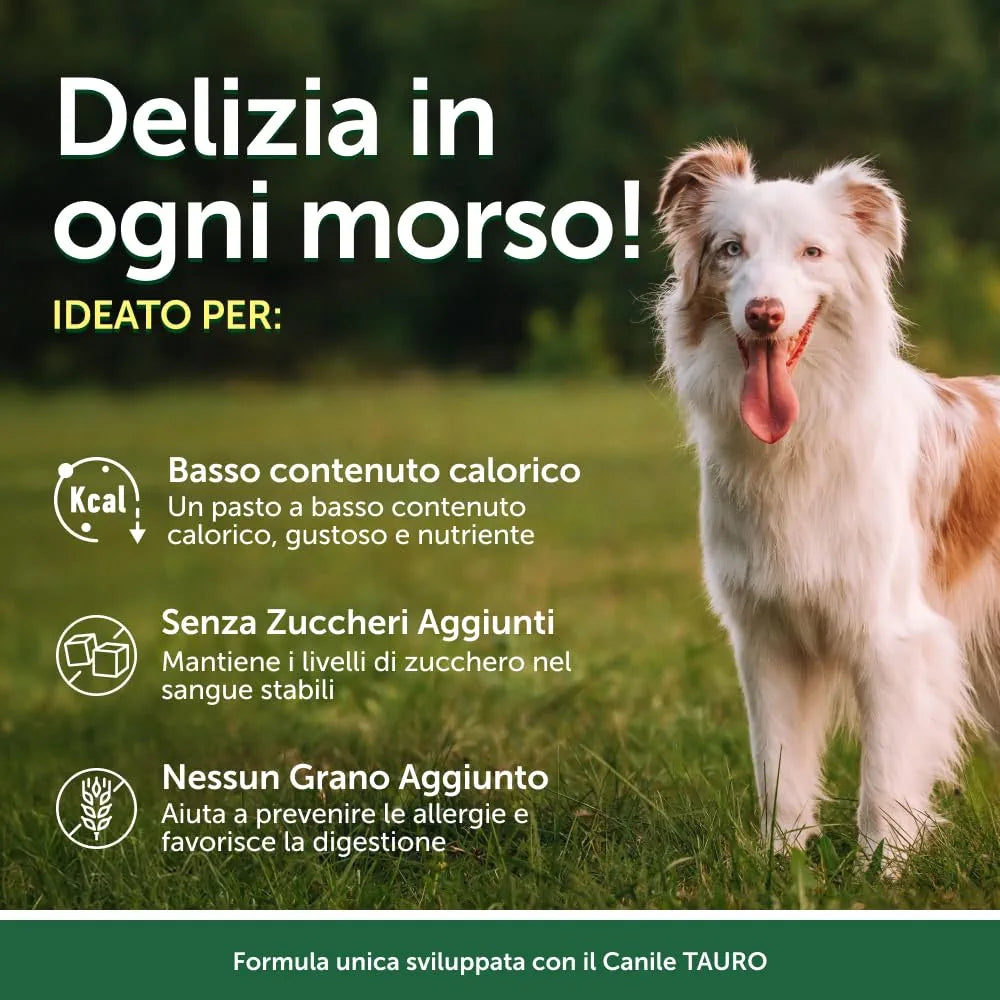 Nature's Protection Superior Care -  Cibo Umido per Cani Adulti 70g