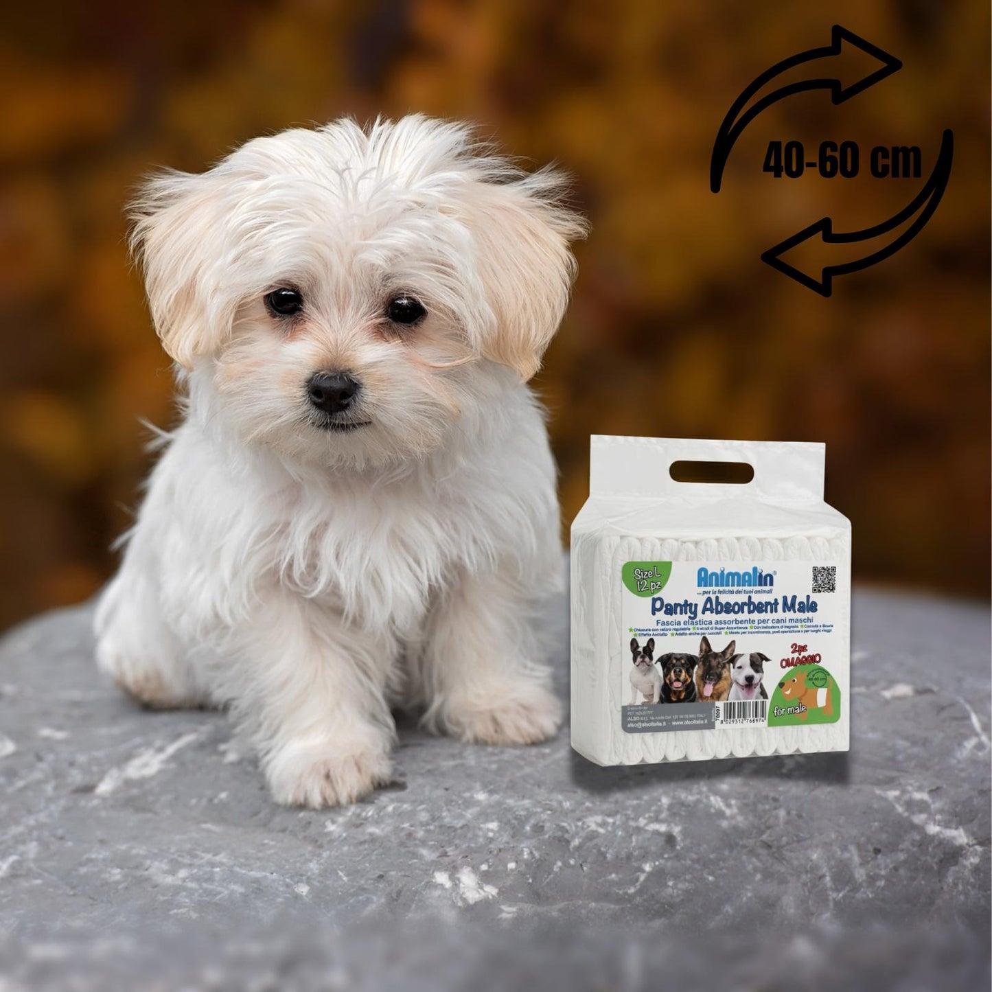 Fascia Igienica per Cani Maschi - Formato Risparmio 60 Pannolini Usa e Getta - 40/60cm