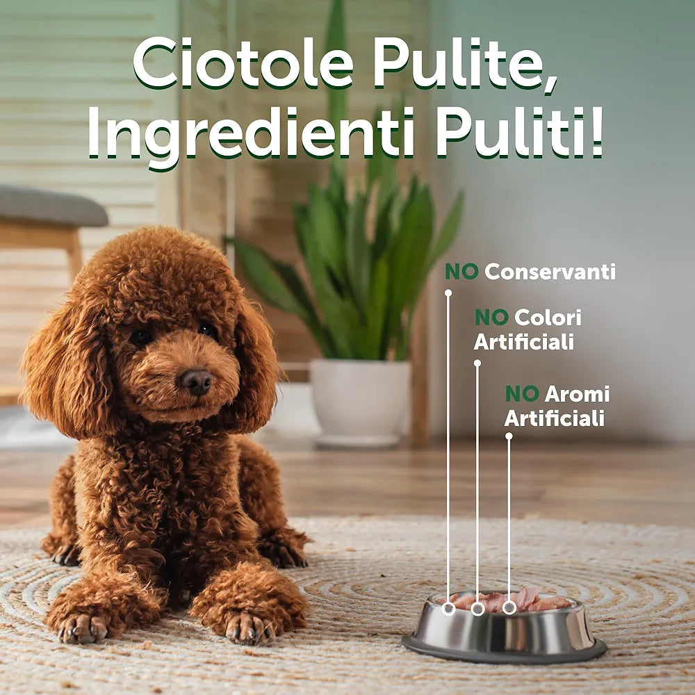 Nature's Protection Superior Care -  Cibo Umido per Cani Adulti 70g