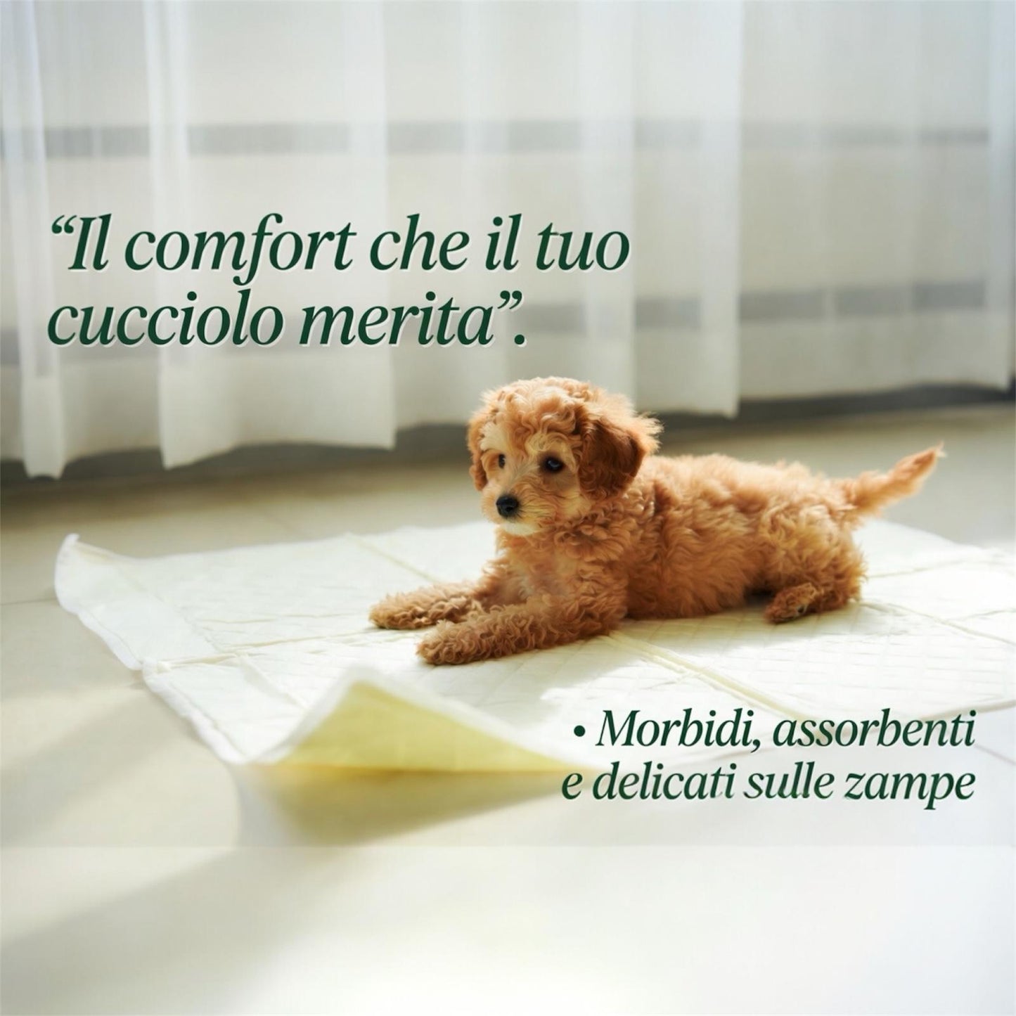 Sop Up Tappetini Igienici con Fibra di Bamboo 30pz - Traverse Igieniche per Cani