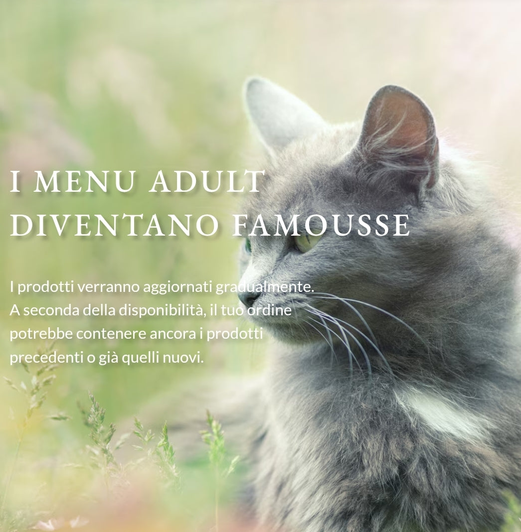 Terra Felis Famousse Umido Gatto 80g