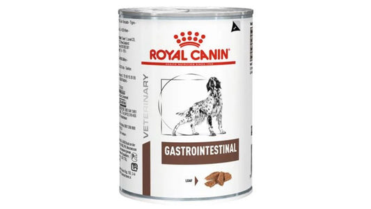 Royal Canin gastrointestinal umido cane 400gr