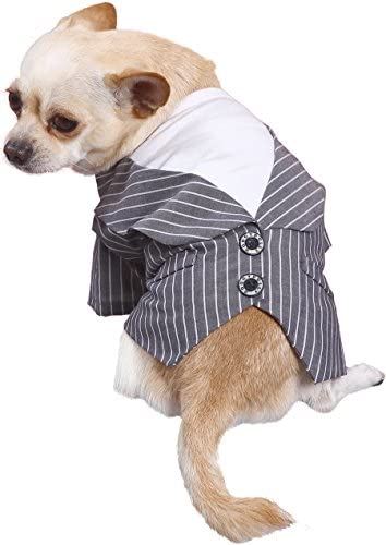 Doggy Dolly smoking per cani. Vestito elegante per cani. Vestito da cerimonia per cani.