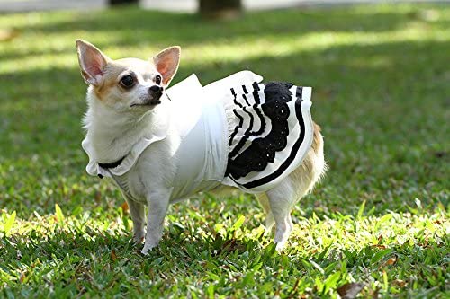 Doggy Dolly vestito in raso per cagnoline mis L