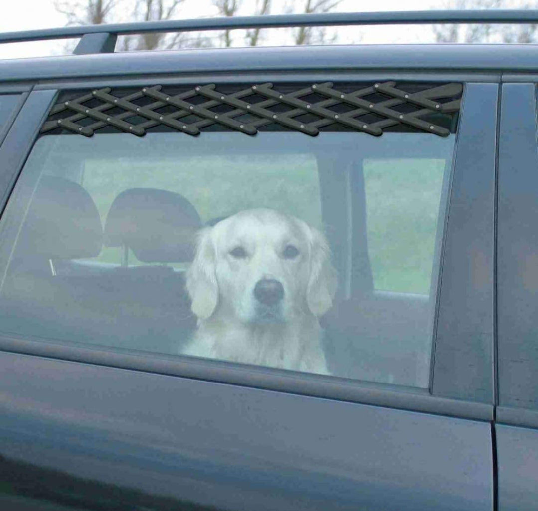 Griglia di protezione per finestrino auto