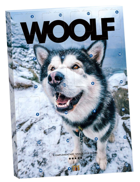 Woolf Calendario dell'avvento per Cani